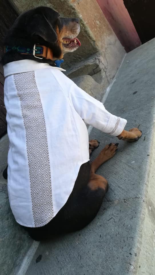 Mazapán, perro de la Guelaguetza recibe una guayabera