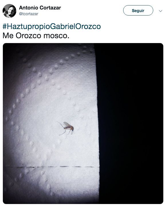 Las mejores obras del hasthag #HazTuPropioGabrielOrozco
