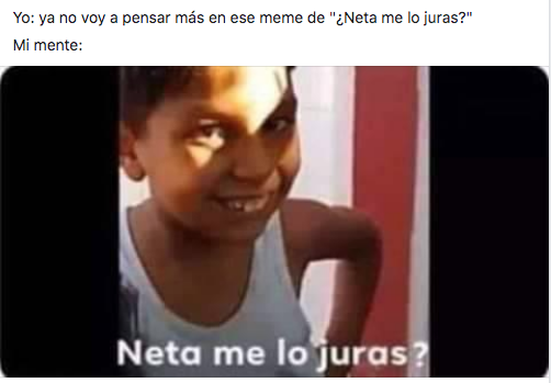 Memes Neta, me lo juras?
