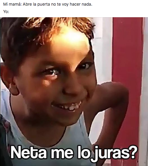 Memes Neta, me lo juras?