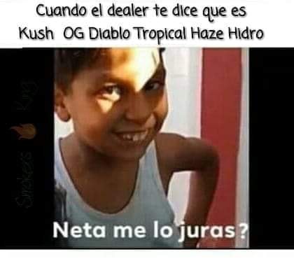 Memes Neta, me lo juras?