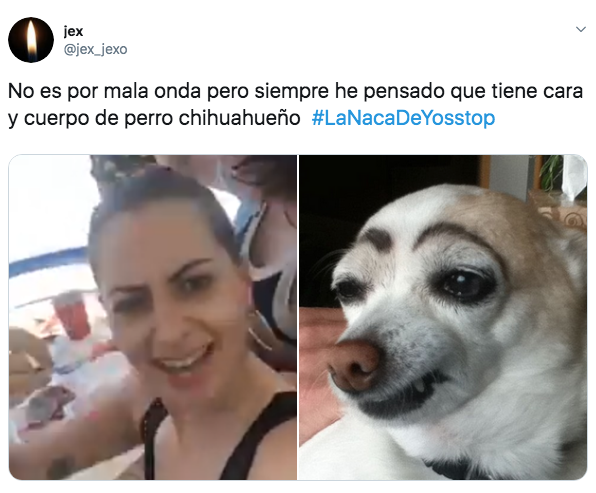 Memes de YosStop por el incidente en el yate