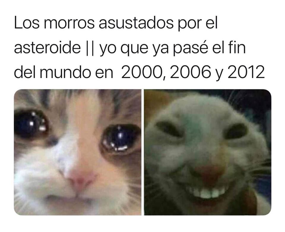 Memes del niño burlándose risa sarcástica