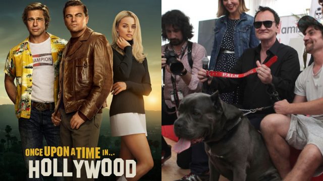 PETA acusa a Tarantino de promover maltrato animal en filme