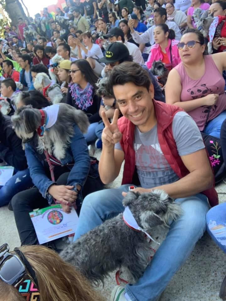 Llevan a cabo primer encuentro de perros schnauzer en la cdmx