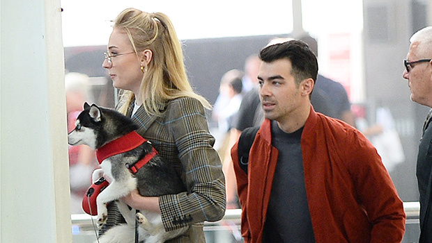 Muere atropella el perro de Joe Jonas y Sophie Turner