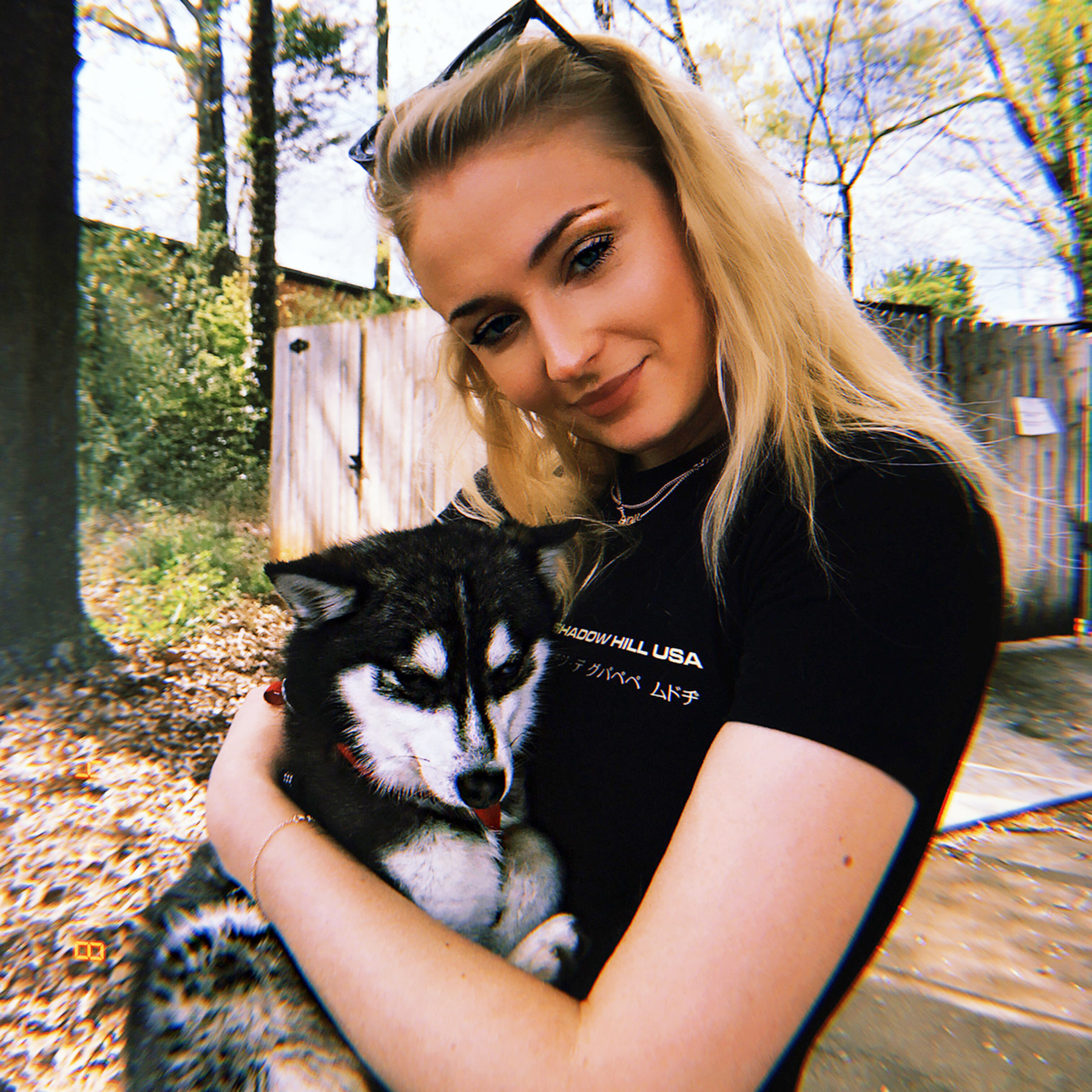 Muere atropella el perro de Joe Jonas y Sophie Turner