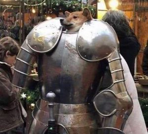 Elo Mito: recuento de videos y fotos chistosos de perros