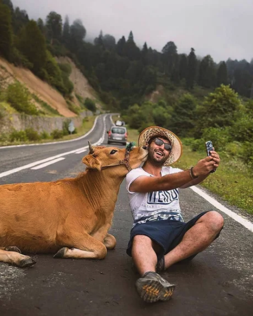Viernes de animales: recuento semanal de videos y fotos