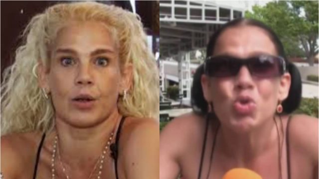 Cenizas Niurka Talco, Niurka Cenizas Talco