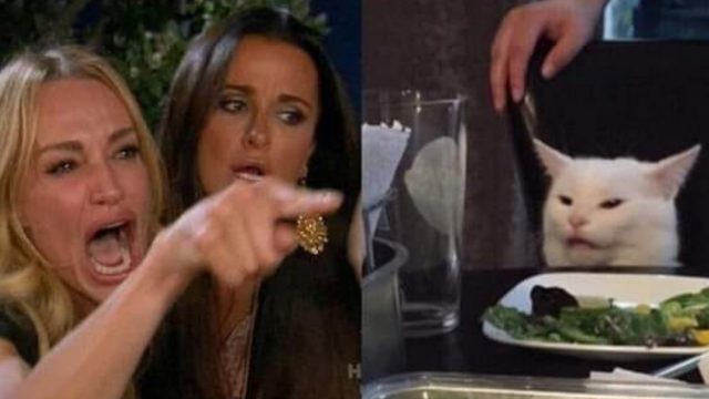 Meme Del Gato, Me Dijiste Meme, Me Dijiste Meme Gato, Smudge Lord, Meme Me Dijiste Que, Me Dijiste Que Meme Gato