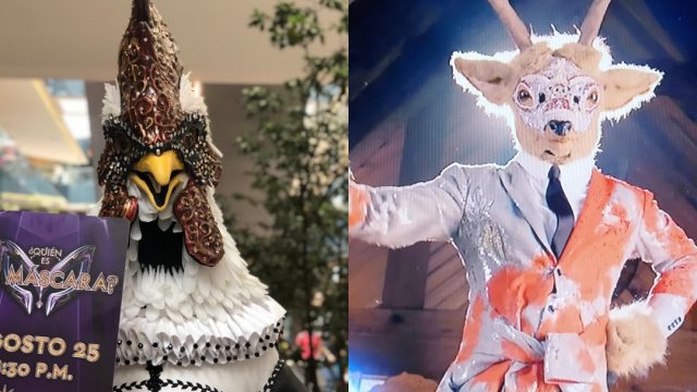 Quién Es La Máscara, Quién Es La Máscara Participantes, Ciervo, Gallo, Johnny Lozada, Moisés Muñoz