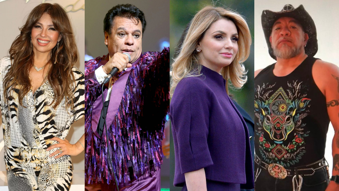 Quien Es La Mascara, Quien Es La Mascara Programa, Quien Es La Mascara Televisa, Quien Es La Mascara Reality, Quien Es La Mascara Programa Televisa, Quien Es La Mascara México
