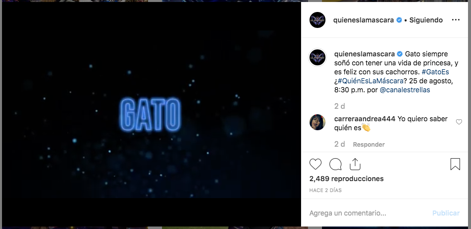 Descubrimos quién es Gato en ¿Quién es la máscara?
