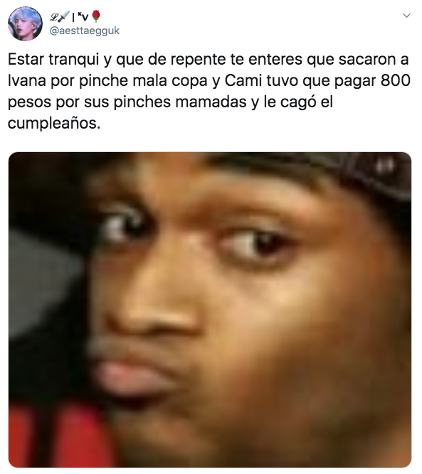 Â¿QuiÃ©n es Ivana Malacopa y por quÃ© se peleÃ³ con Camila?