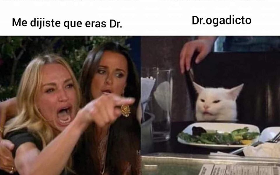 Meme del gato me dijiste