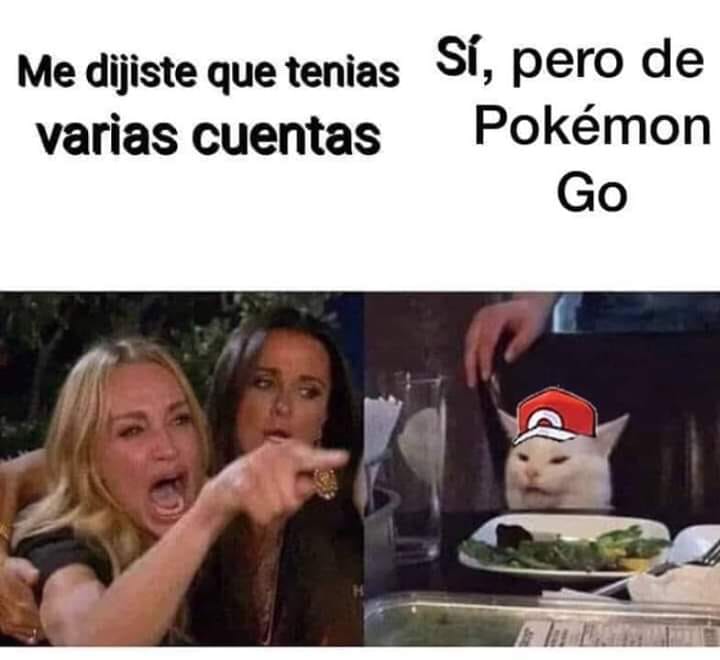 Meme del gato me dijiste
