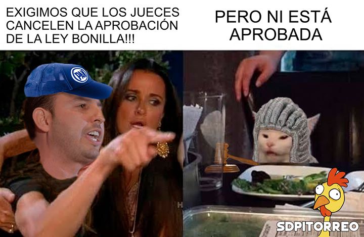 Meme del gato me dijiste