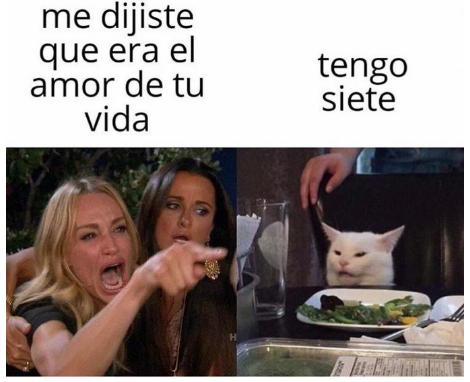 Meme del gato me dijiste