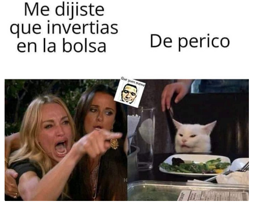 Meme del gato me dijiste