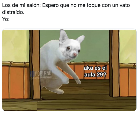 Memes de Bob Esponja Entrando