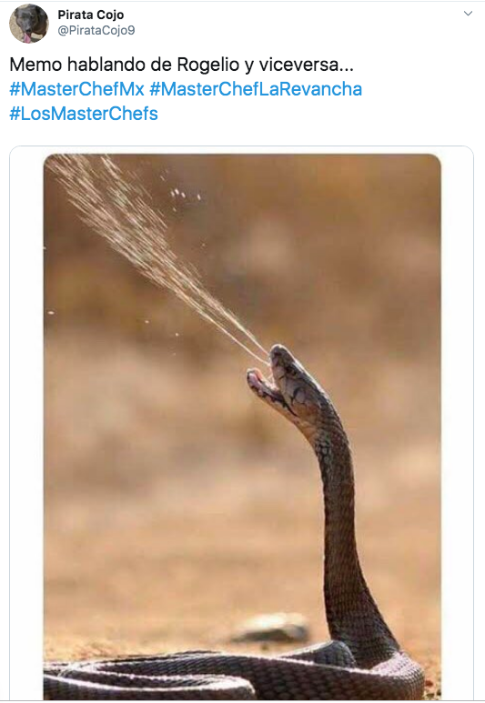 Memes del capítulo 6 de Master Chef La Revancha