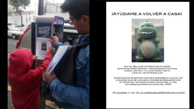 10-09-2019,Niño perdio peluche dinosaurio, niño posted imagen dinosaurio