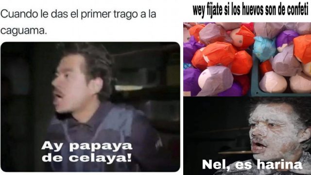 Origen de meme Ay Papantla Tus Hijos Vuelan y Nel, es harina