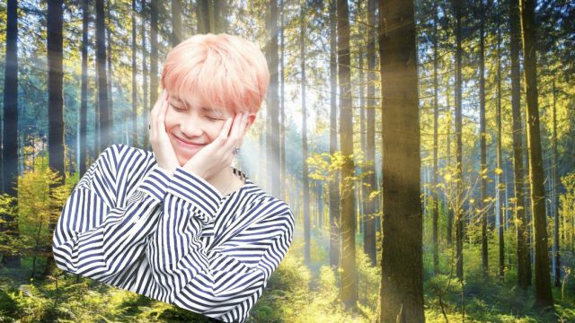 ARMY Crea Bosque Para RM De BTS, ARMY Bosque RM, Dónde Está El Bosque De RM De BTS, RM BTS Edad, RM BTS Estatura, RM BTS Canciones