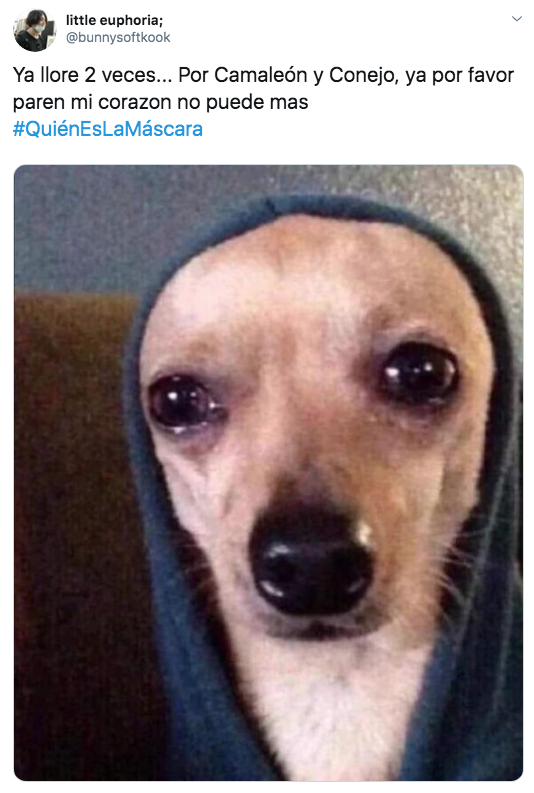 Memes del capítulo 5 de ¿Quién es la máscara?