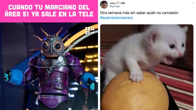 Quien Es La Mascara, Quien Es La Mascara Programa, Quien Es La Mascara Personajes, Quien Es La Mascara Eliminados, Quien Es La Mascara Memes Programa, Quien Es La Mascara México