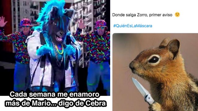 Quien Es La Mascara, Quien Es La Mascara Programa, Quien Es La Mascara Personajes, Quien Es La Mascara Eliminados, Quien Es La Mascara Memes Programa, Quien Es La Mascara México