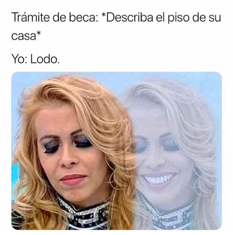 Memes de la señora triste y sonriendo