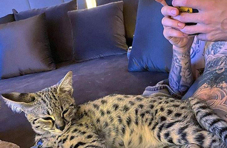 Justin BIeber pelea con PETA y defiende explotación animal