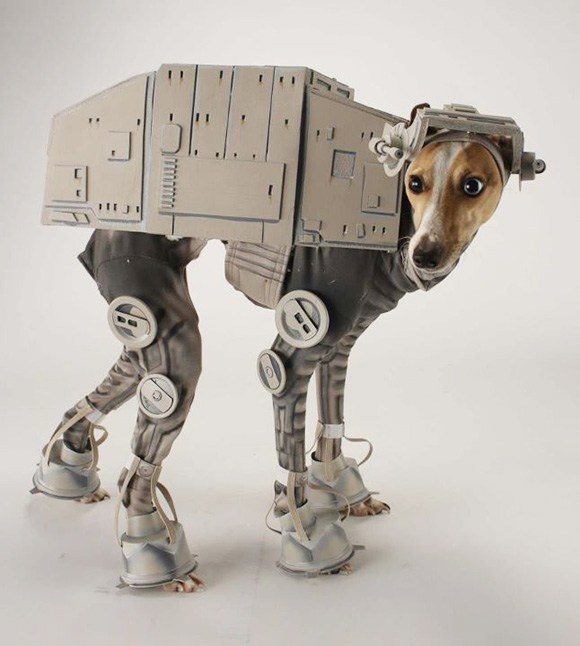 Disfraces para perro de Halloween y Día de Muertos fáciles