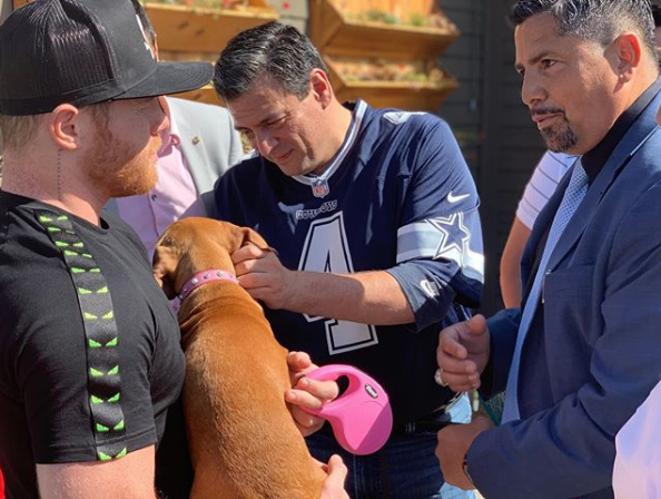 Canelo Álvarez recibe un perro con valor de 3 millones de pesos