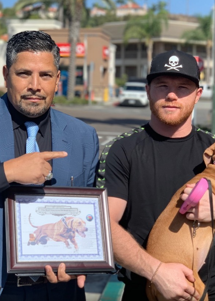 Canelo Álvarez recibe perro de 3 millones de pesos