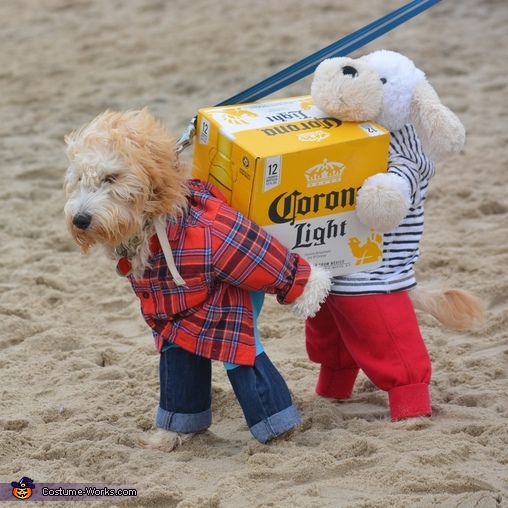 Disfraces para perro de Halloween y Día de Muertos fáciles