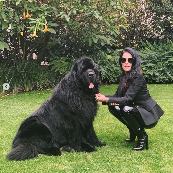 Martha Debayle comparte muerte de su perrito Gastón