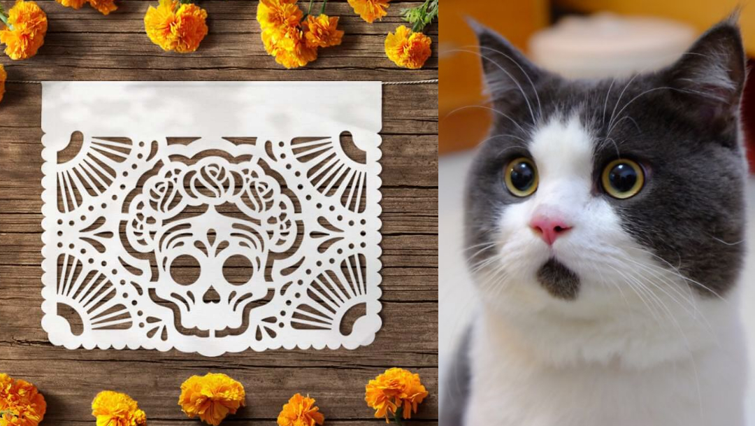 Foto: papel picado origen 27 octubre 2019