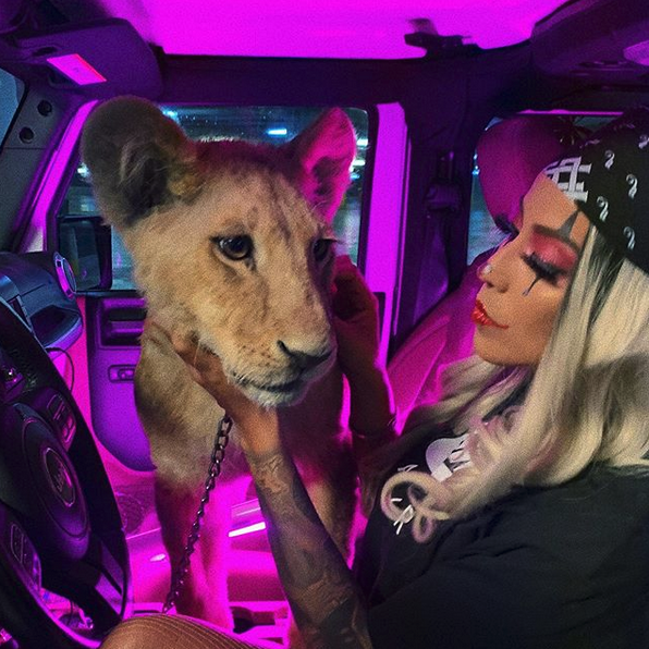 Barbarela, hija de Babo, comenzará su carrera musical pronto