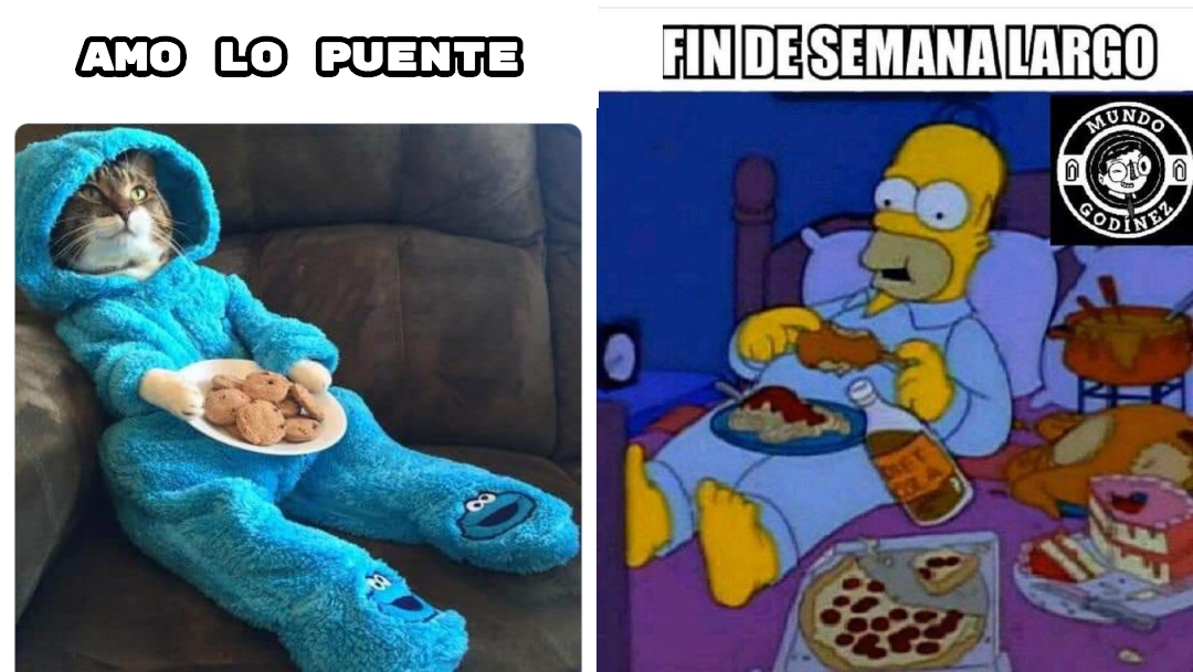 Memes Del Puente Festivo, Memes Puente 20 De Noviembre, Memes De Buen Fin, Memes Chistosos, Memes Graciosos, Memes Random