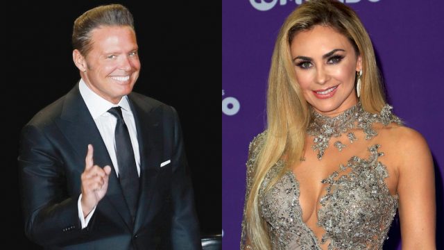 Cuánto le da de pensión Luis Miguel a Aracely Arámbula