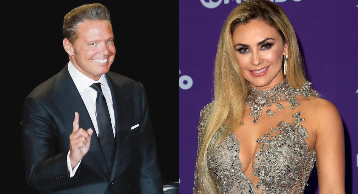 Cuánto le da de pensión Luis Miguel a Aracely Arámbula