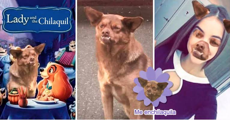 Memes de chilaquil 