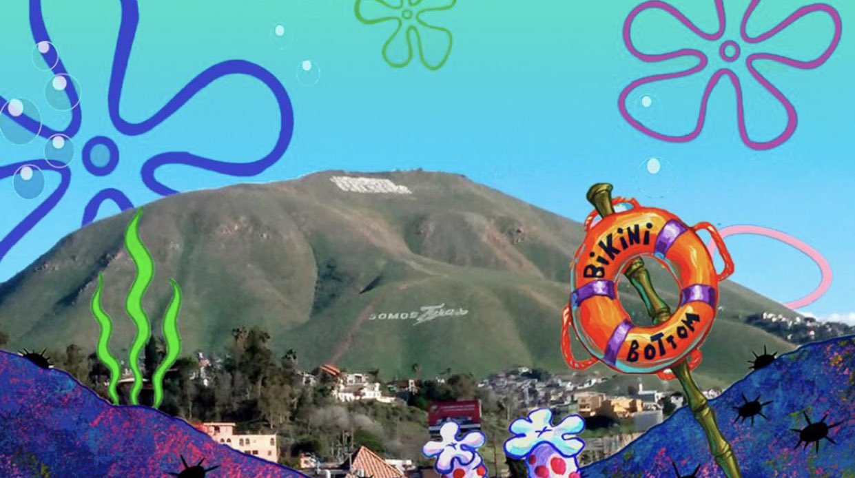 Memes de fondo de bikini