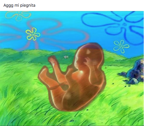Memes de fondo de bikini