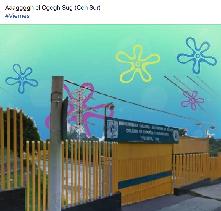 Memes de fondo de bikini