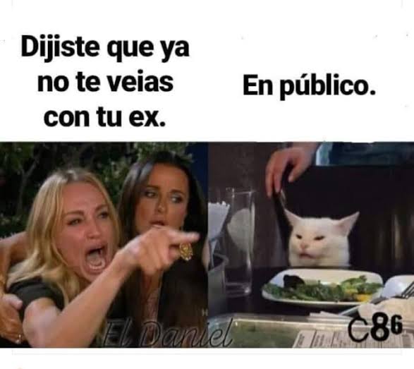 Meme gato en la mesa