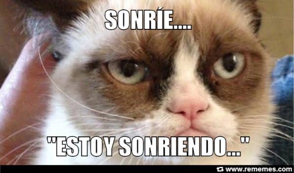 Meme de grumpy cat, el gato enojado de 2012